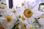 100_1684 (big)