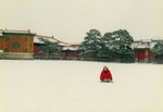 Resize of Rotation of Beijing010