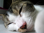 sleep3