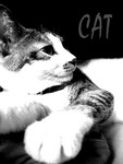 my super model