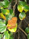 IMG_9177