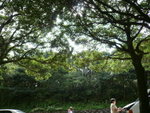 P1000477