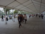 DSC03386