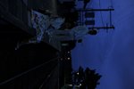 _BON7094