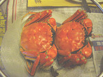 DSC01084