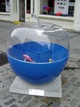 DSC00846