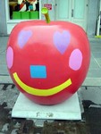 DSC00848