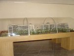 DSC01213