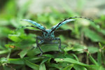 PICT9768-01