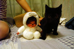 PICT0404