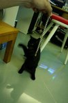 PICT0507