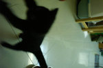 PICT0529