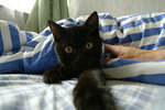 PICT0975