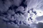 PICT5799-01