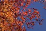 PICT5968-01