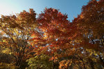 PICT7447-01