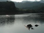 DSCN5344