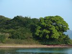 DSCN5347