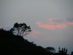 DSCN5381