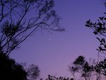 DSCN5396