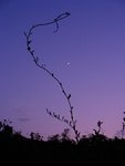 DSCN5399