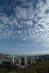 PICT8287-1