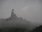 DSCN7010