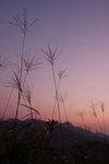 CSC_4060