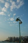 DSC_7197