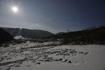 _DSC2460