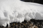 _DSC2484