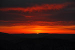 DSC_2185