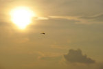 _DSC0788