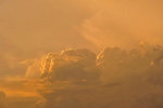 _DSC0873