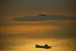 _DSC8406