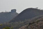 _DSC6363