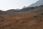 _DSC6381