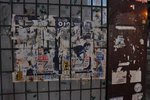 _DSC0359
