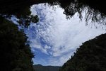 _D3D3539