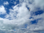 P5181131