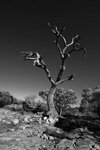 _D3D0781
