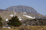 DSC04424
