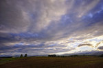 _DSC8516