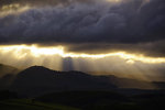 _DSC8525