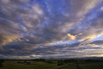 _DSC8537