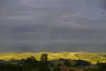 _DSC8539