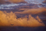 _DSC8559