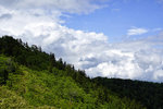 _DSC8721