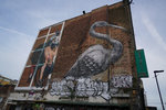 DSC00562