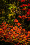 DSC01900